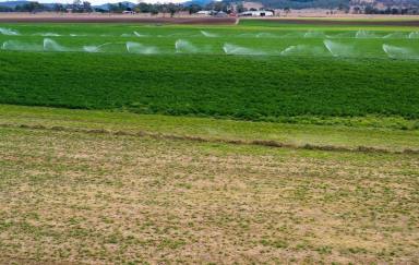 Residential Block For Sale - QLD - Scrub Creek - 4313 - 38.35ha Lucerne Farm  (Image 2)