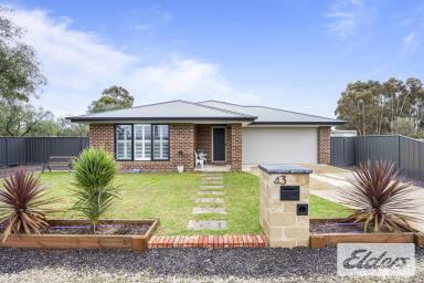 House For Sale - VIC - Cressy - 3322 - Modern Living in Tranquil Cressy – Perfect for Families and Investors  (Image 2)