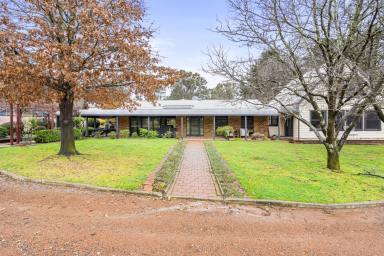 Lifestyle For Sale - NSW - Murrumbateman - 2582 - Sublime Country Estate  (Image 2)