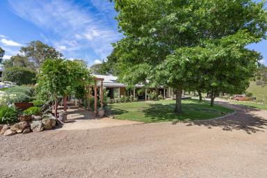 Lifestyle For Sale - NSW - Murrumbateman - 2582 - Sublime Country Estate  (Image 2)