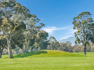 Livestock For Sale - VIC - Rocklands - 3401 - “The 1200”– Well balanced, high rainfall versatile country  (Image 2)