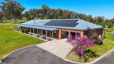 Lifestyle For Sale - NSW - Quirindi - 2343 - EXCEPTIONAL LIFESTYLE PROPERTY IN IDEAL LOCATION  (Image 2)