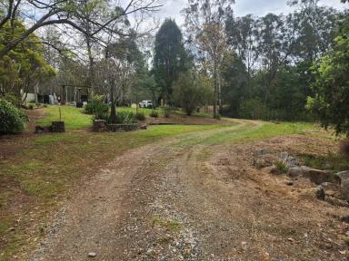 House For Sale - QLD - Blackbutt - 4314 - Escape to your very own nature retreat with over 10 acres in this beautiful newly renovated home in Blackbutt  (Image 2)