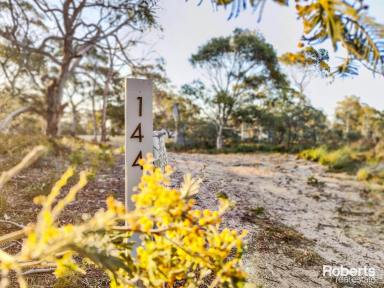 Residential Block Sold - TAS - Dolphin Sands - 7190 - Coastal acreage & weekender, just steps to Nine Mile Beach!  (Image 2)