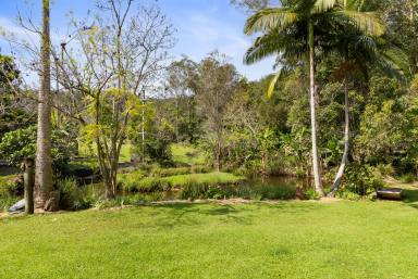 House Sold - QLD - Verrierdale - 4562 - Peaceful Haven for Your Dream Lifestyle  (Image 2)