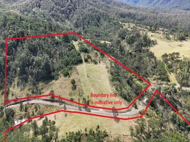 Residential Block For Sale - NSW - Bemboka - 2550 - BUILD YOUR DREAM HOME IN A PRIVATE SETTING  (Image 2)