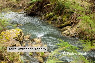 Residential Block For Sale - VIC - McMahons Creek - 3799 - 8 ACRES OF POTENTIAL!  (Image 2)