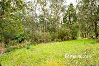 Residential Block For Sale - VIC - McMahons Creek - 3799 - 8 ACRES OF POTENTIAL!  (Image 2)