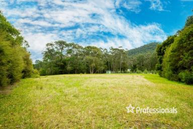 Residential Block For Sale - VIC - McMahons Creek - 3799 - 8 ACRES OF POTENTIAL!  (Image 2)