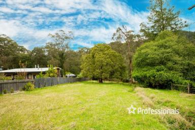 Residential Block For Sale - VIC - McMahons Creek - 3799 - 8 ACRES OF POTENTIAL!  (Image 2)