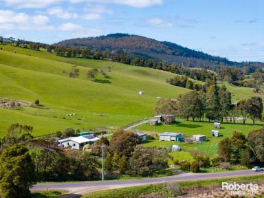 House For Sale - TAS - Glengarry - 7275 - A 75-Acre Rural Haven  (Image 2)