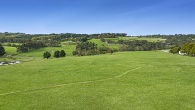 Acreage/Semi-rural For Sale - VIC - Main Ridge - 3928 - Escape to the Country: 12 Acres Just an Hour from Melbourne  (Image 2)