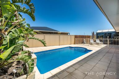 House Sold - WA - Butler - 6036 - Stunning, Spacious, Contemporary Home  (Image 2)