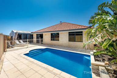 House Sold - WA - Butler - 6036 - Stunning, Spacious, Contemporary Home  (Image 2)