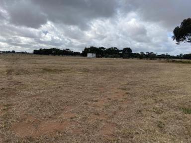 Residential Block For Sale - SA - Two Wells - 5501 - 1 Ha, build ready property in vibrant Two Wells. Fully fenced.  (Image 2)