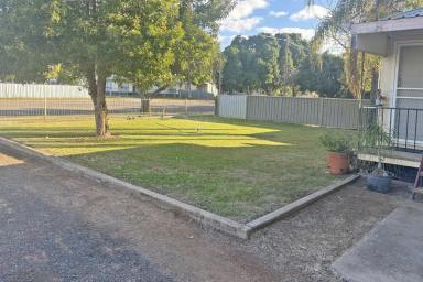 House For Sale - NSW - Bourke - 2840 - Waiting for you  (Image 2)