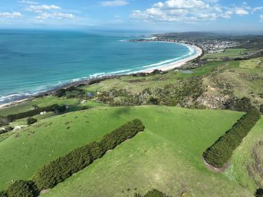 Farmlet For Sale - VIC - Apollo Bay - 3233 - CAPTIVATING APOLLO BAY PROPERTY  (Image 2)