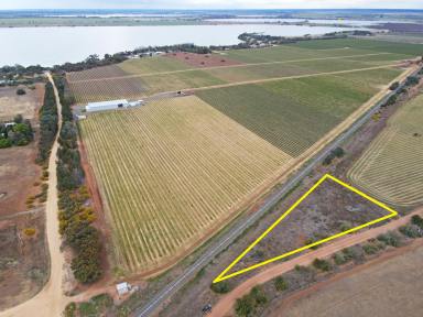 Lifestyle For Sale - VIC - Mystic Park - 3579 - Unique Block of Land Near Kangaroo Lake  (Image 2)