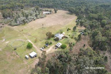 Lifestyle For Sale - NSW - Delungra - 2403 - SPRING CREEK: SENSATIONAL VIEWS & SERENITY  (Image 2)