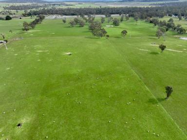 Mixed Farming For Sale - TAS - Cleveland - 7211 - Midland Highway Frontage  (Image 2)