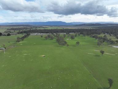 Mixed Farming For Sale - TAS - Cleveland - 7211 - Midland Highway Frontage  (Image 2)