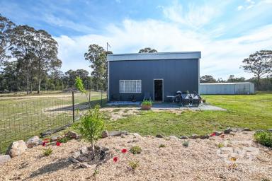 Lifestyle For Sale - NSW - Torrington - 2371 - 19 Acre Ideal Rural Retreat!  (Image 2)