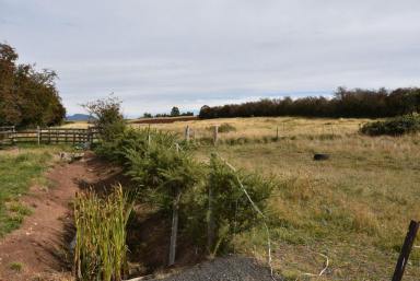 Residential Block For Sale - TAS - Exton - 7303 - Views to Quamby Brook  (Image 2)