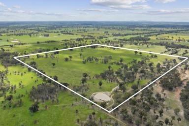 Other (Rural) For Sale - VIC - Balmattum - 3666 - A Private Lifestyle Farm With Potential To Build (STCA)  (Image 2)