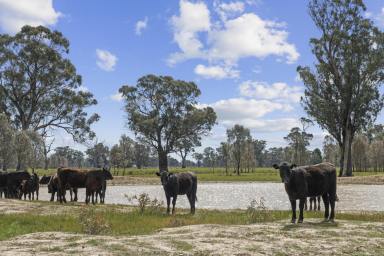 Other (Rural) For Sale - VIC - Balmattum - 3666 - A Private Lifestyle Farm With Potential To Build (STCA)  (Image 2)