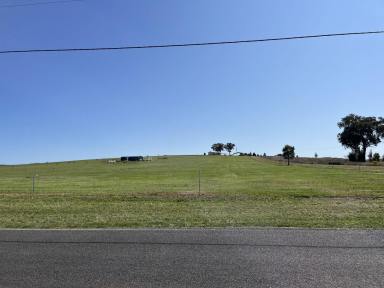 Residential Block For Sale - NSW - Parkes - 2870 - Prime 3-Acre Lot in Beautiful New Estate Your Dream Property Awaits!  (Image 2)