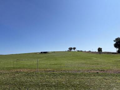 Residential Block Sold - NSW - Parkes - 2870 - Prime 3-Acre Lot in Beautiful New Estate Your Dream Property Awaits!  (Image 2)