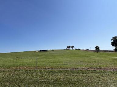 Residential Block For Sale - NSW - Parkes - 2870 - Prime 3-Acre Lot in Beautiful New Estate Your Dream Property Awaits!  (Image 2)