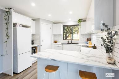 House For Sale - NSW - Bega - 2550 - Affordable 3 Bedroom Home - Perfect for First-Time Buyers & Investors!  (Image 2)