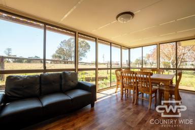 House For Lease - NSW - Guyra - 2365 - 5-bedroom home close to town  (Image 2)