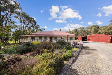 House Sold - VIC - Haddon - 3351 - Gorgeous Family Home In Quiet Location  (Image 2)