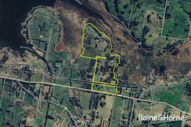 Mixed Farming For Sale - NSW - Burrawang - 2577 - Daisy Bank - 170 Pristine Burrawang Acres  (Image 2)