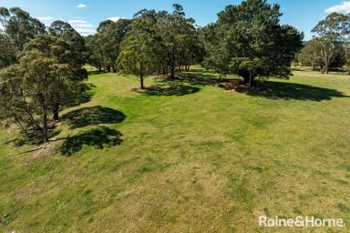 Mixed Farming Sold - NSW - Burrawang - 2577 - Sold by Frank Barker - 'Daisy Bank' (Image 2)