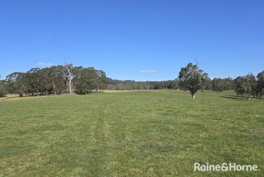 Mixed Farming For Sale - NSW - Burrawang - 2577 - Daisy Bank - 170 Pristine Burrawang Acres  (Image 2)