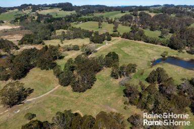 Mixed Farming Sold - NSW - Burrawang - 2577 - Sold by Frank Barker - 'Daisy Bank' (Image 2)