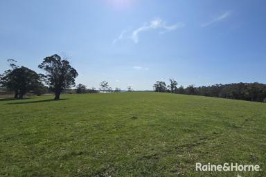 Mixed Farming For Sale - NSW - Burrawang - 2577 - Daisy Bank - 170 Pristine Burrawang Acres  (Image 2)