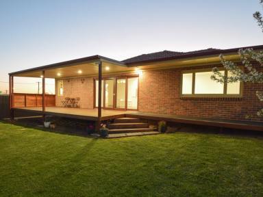 House For Sale - NSW - Young - 2594 - Completely Renovated 4 Bedroom Home With Commercial Zoning  (Image 2)