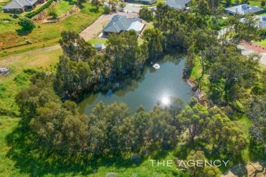 House For Sale - WA - Jane Brook - 6056 - "What A Package" -  What A Bargain - House, Granny Flat & Large Dam on 9845 sqm  (Image 2)