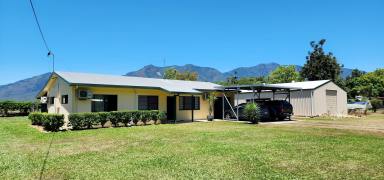 Acreage/Semi-rural Sold - QLD - Carruchan - 4816 - Fully fenced rural family home with horse paddock and panoramic mountain views  (Image 2)