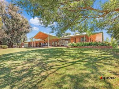 House For Sale - NSW - Mathoura - 2710 - As Rare as Hens’ Teeth – A Once-in-a-Lifetime Waterfront Sanctuary & Working Farmlet  (Image 2)