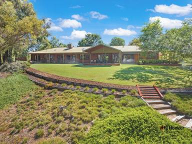 House For Sale - NSW - Mathoura - 2710 - As Rare as Hens’ Teeth – A Once-in-a-Lifetime Waterfront Sanctuary & Working Farmlet  (Image 2)