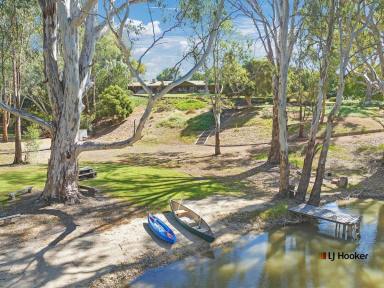 House For Sale - NSW - Mathoura - 2710 - Creek and Redgum Forest Views – Just 30 Minutes North of Echuca  (Image 2)