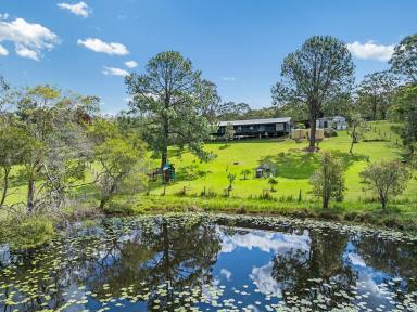 House For Sale - QLD - Ocean View - 4521 - Country Living on 5 Picturesque Acres!  (Image 2)