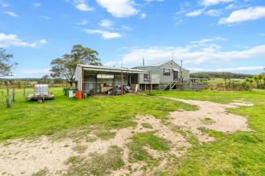 Lifestyle For Sale - VIC - Boisdale - 3860 - Ultimate lifestyle property  (Image 2)