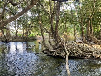 House Sold - QLD - Mossman - 4873 - LIVE THE SUSTAINABLE DREAM - LAND, CREEK, HOUSE ON 236 ACRES - PARADISE AWAITS  (Image 2)