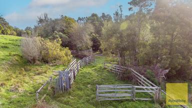 Other (Rural) For Sale - VIC - Foster - 3960 - Grazing Land on Edge of Town  (Image 2)